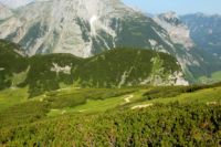 2015-07-04_2Sonnjoch (133)b.JPG
